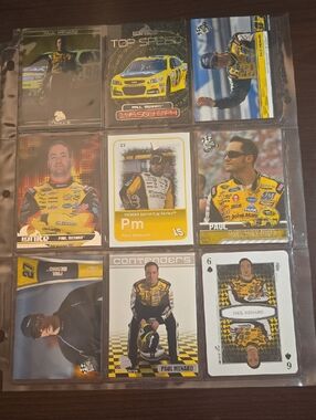 Nascar Paul Menard Yellow & Black Racing Card Collection